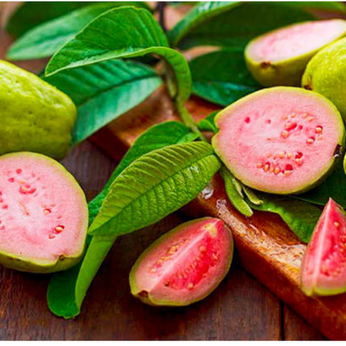 Guayaba fruta Roja
