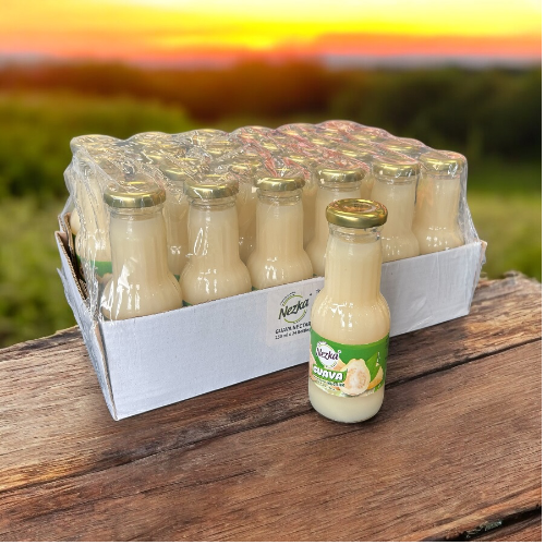 Caja Nectar de Guayaba Nezka