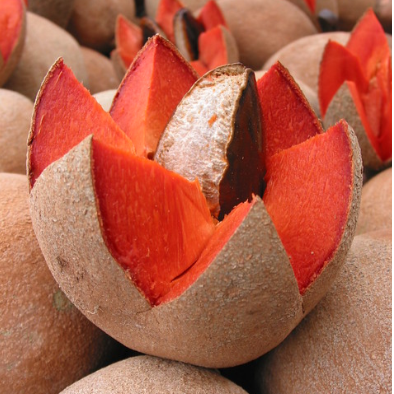 Mamey Sapote Fruta