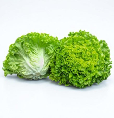 Lechuga Fresca