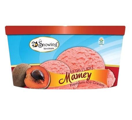 Helado de Mamey 1.42L