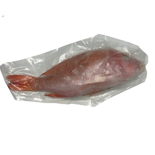 Pargo Scarlet Entero x lb